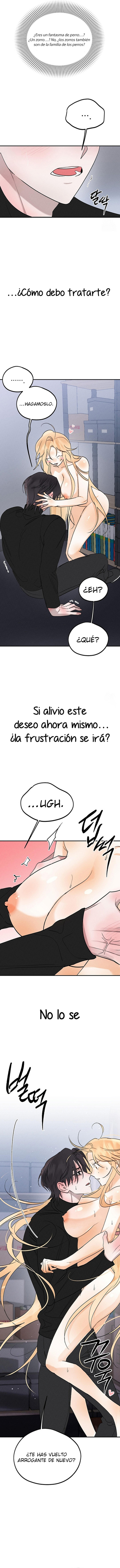 Imagen del capítulo 14